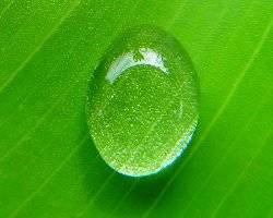 A Teardrop in Ramadan