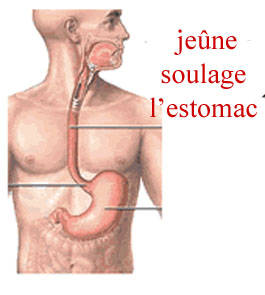 Le jene soulage lestomac