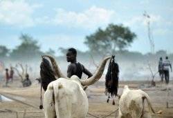 Thousands flee South Sudan tribal conflict 