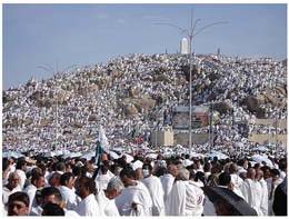 Le mrite du jour de Arafat et lattitude des vertueux prdcesseurs  son gard 