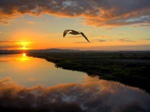 Le cycle de leau et les mers dans le Coran