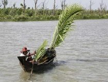 A year on, Myanmar cyclone survivors struggle to rebuild