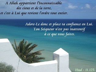 La sagesse du Crateur